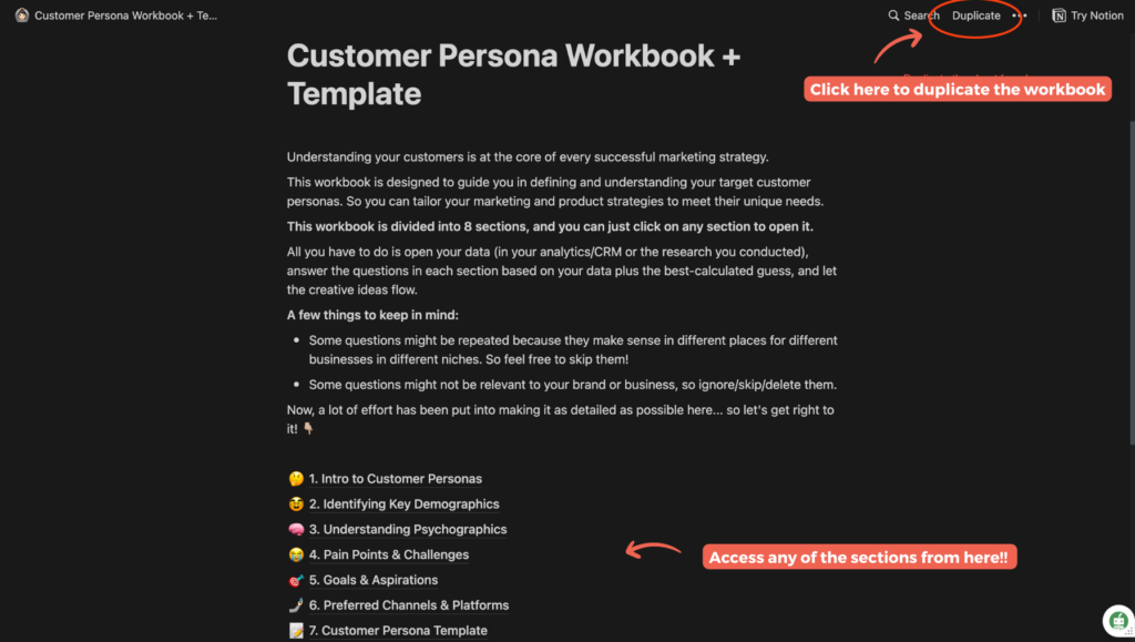 Customer persona workbook screenshot