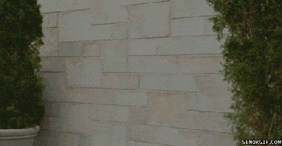 Hitting a wall GIF